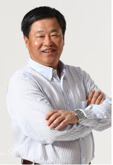 宁高宁